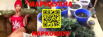 apvp Можга