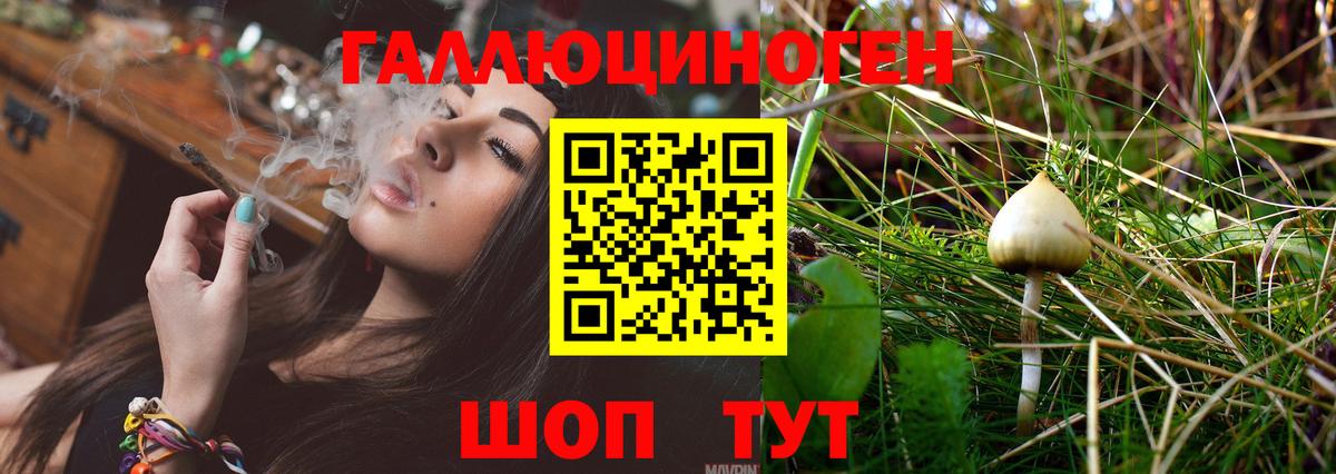 Псилоцибиновые грибы ЛСД Тверь